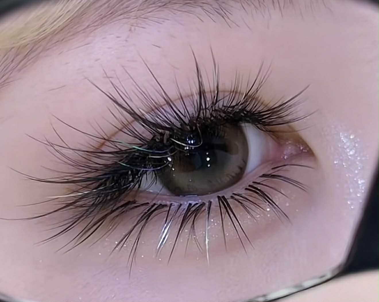 ece600c5-5724-42cf-8fcd-9d101a33318d